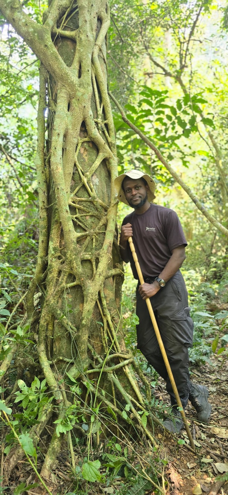 Yves Shema standing beside a large strangler fig in a Rwandan forest, holding a walking staff.